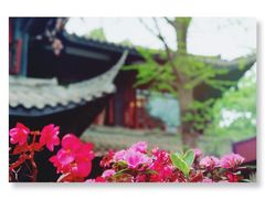 -大妙火锅·非物质文化遗产(东湖公园店)