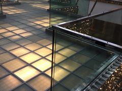 -威尔仕健身(金茂店)