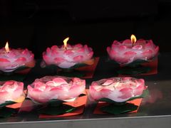 -亭林园-华藏寺