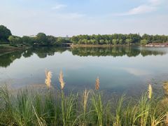 -宜兴龙背山森林公园