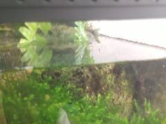 -繁花足道(梅江店)