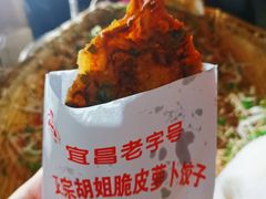 萝卜饺子-半月镰胡姐脆皮萝卜饺子