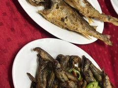 -蛇口康乐快餐鱼仔档(翠苑小区店)