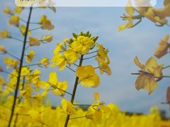 -中国天府农业博览园