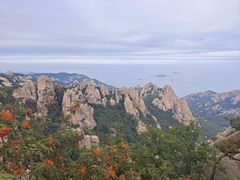 -崂山巨峰游览区