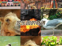 -长鹿旅游休博园