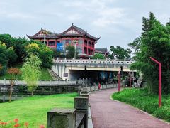 -眉山湿地公园(东坡区)