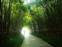 -筼筜书院