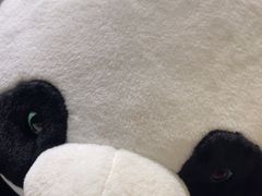 -眉州东坡(清河万象汇店)