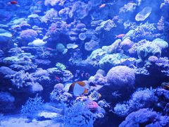 -太平洋海底世界