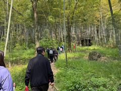 -上海佘山国家森林公园天马山园