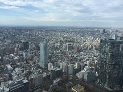 -东京都厅舍