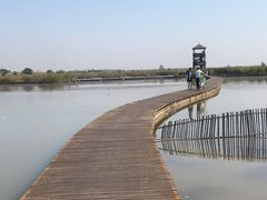 -盐城丹顶鹤湿地生态旅游区
