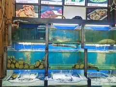 水产区-老东镇啤酒屋海鲜加工·蒸汽海鲜·海鲜烧烤(台东店)