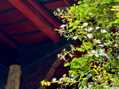 -宝光寺