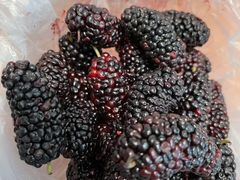 -魏家凉皮(博水商务大厦店)