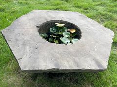 -三圣花乡旅游区