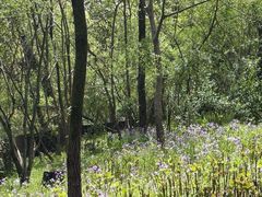 -西湖风景区-江洋畈生态公园
