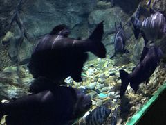 -常州海昌海洋探索馆