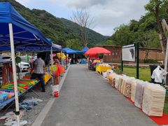 -北仑森林植物园