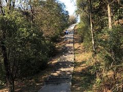 -桃花岭景区