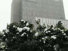 大楼-中国联通(常州市钟楼区荷花池街道万福桥自有营业厅)