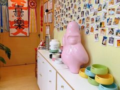 -猫十亿·布偶金渐层·曼基康矮脚猫舍(青年路店)