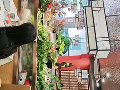 -洞庭家宴·头牌甲鱼(广渠门店)