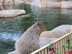 -北京野生动物园
