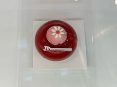 -LE JARDIN de Joel Robuchon(BFC外滩金融中心店)