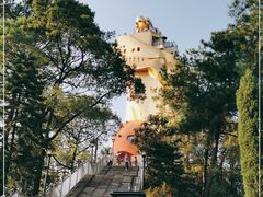 -大金鹰园