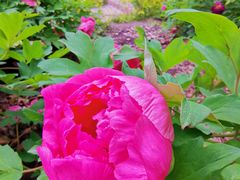 -哈尔滨文化公园