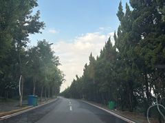 -养马岛旅游度假区