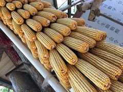 -大鹅岛绿色生态美食园