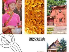 -西双版纳傣族园