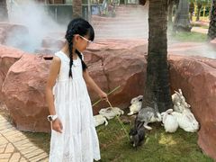 -灵玲国际马戏城