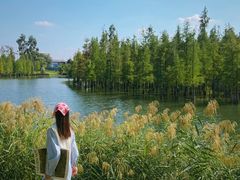 -白鹭湾湿地公园