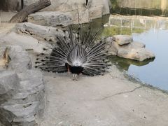-南昌动物园