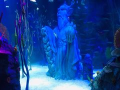 -沈阳海洋探索中心