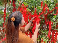 -七仙岭温泉国家森林公园