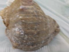 -四海蒸鲜蒸汽海鲜自助(北戴河店)