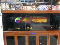 -洪忠涮烤王(嵩山路店)