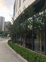 -苏州大学附属儿童医院(园区总院)