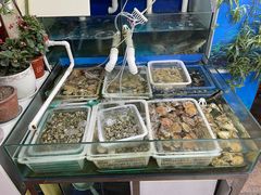 水产区-公寓家常菜馆(海军博物馆店)