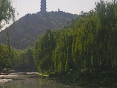 -北坞公园