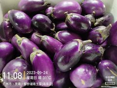 -烹湘·鲜炒湖南土菜(海珠店)