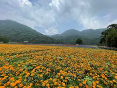 -广州市石门国家森林公园