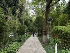 -成都市活水公园