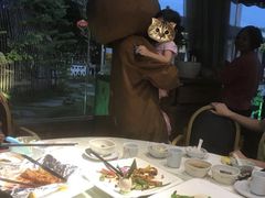 -花溪雨·森林餐厅(石基店)