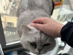 -M.S拳击泰拳馆(大学路店)